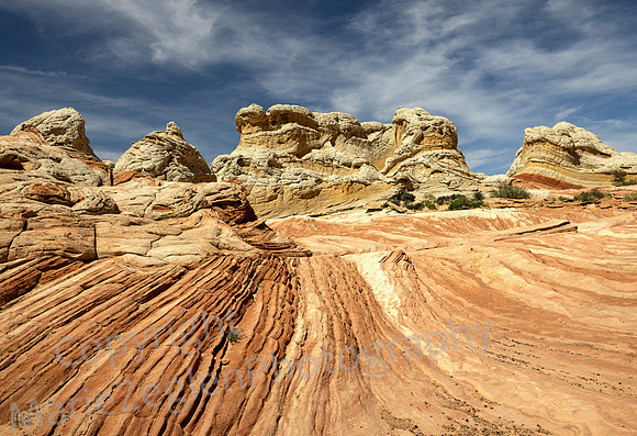 White Pocket Sandscape 1196