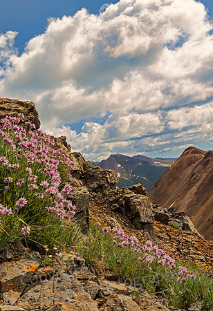 Flowers and Mt and Sky Portrait