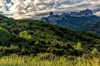 Three Trees and Rocky Mesa Colorado