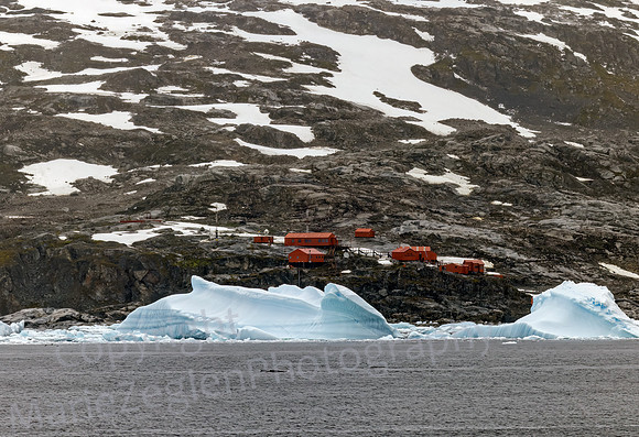Graham Passage Old Whaling Station  with Whale and Penguins 0199
