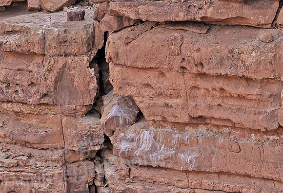 Condor Nest Navaho Bridge 1278