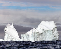 Floating Tall Bergs 0332
