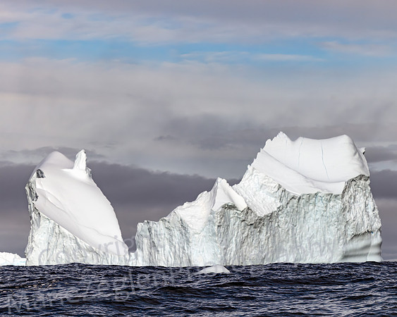 Floating Tall Bergs 0332