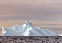 Bergs off Spert Island 0318