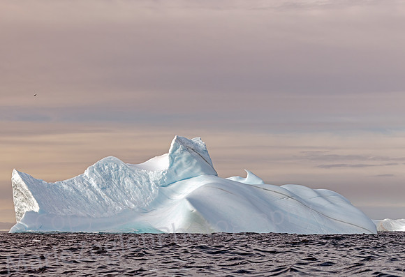 Bergs off Spert Island 0318
