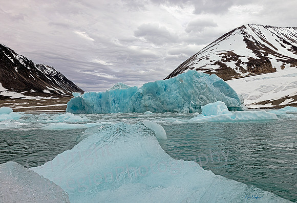 Blue Bergs and Mountain Backdrop