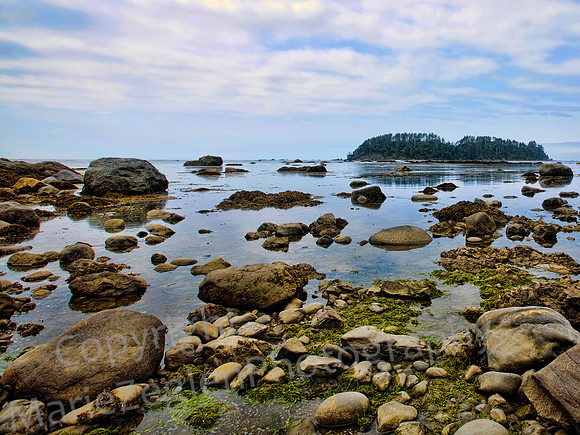 Shi Shi Beach WA
