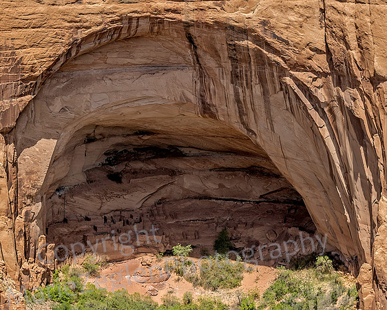 Betatakin Caves 1434