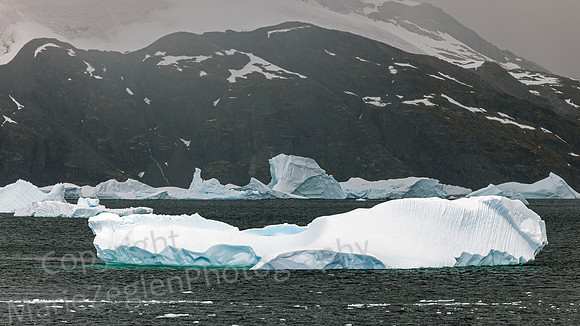 Graham Passage Ice Flows 0165