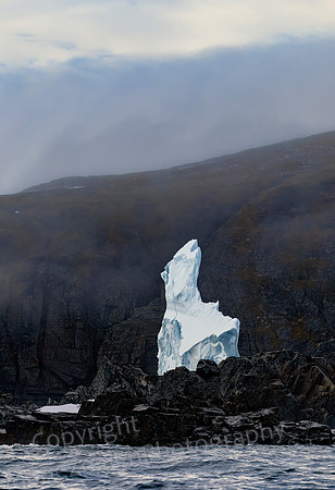 Ice Horse in Fogbank 0383