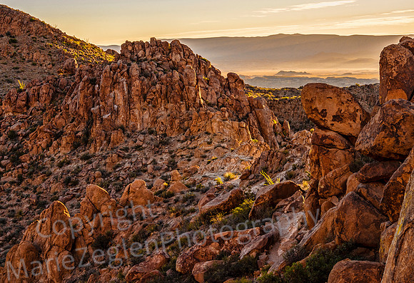 Rock Path to Horizon Early Light 4904