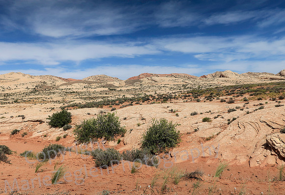 Comb Ridge 0670