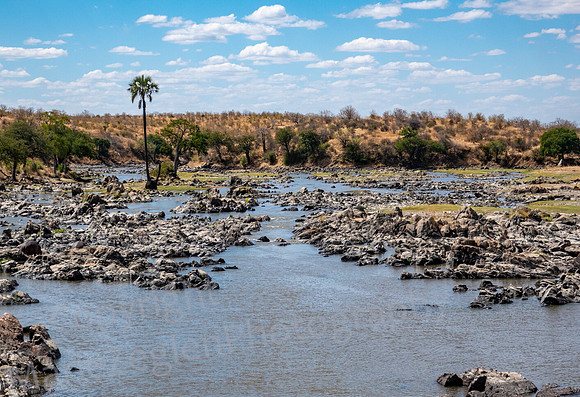 Ruaha River