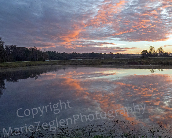 Sweetwater Wetlands Gainesville Florida
