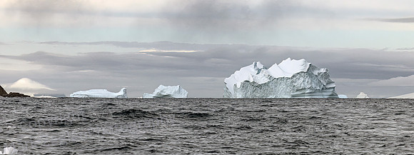 Bergs Afloat 0388