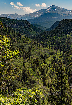 Mountains outside Mancos, CO