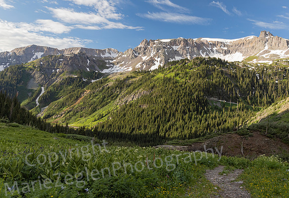 Path into Colorado Mountains