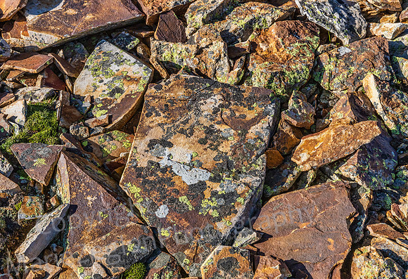 Rock Floor