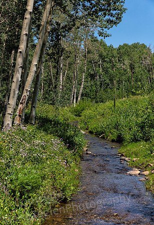 Aspen and Stream