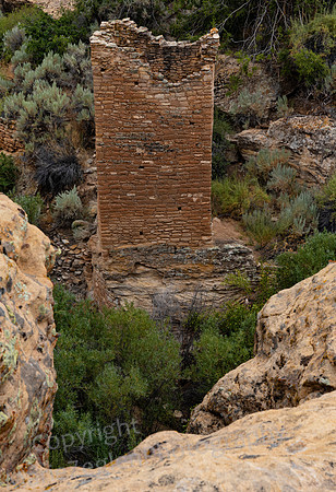 Hovenweep Tower
