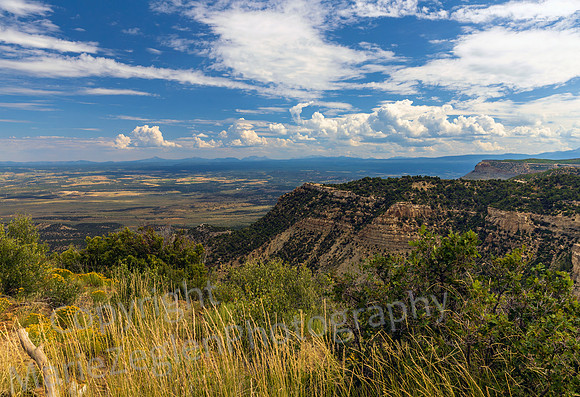 Mesa Verde in Distance