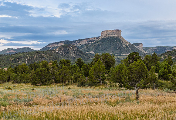 Mesa Verde from Mancos, CO