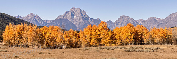Grand Tetons and Aspen Panorama