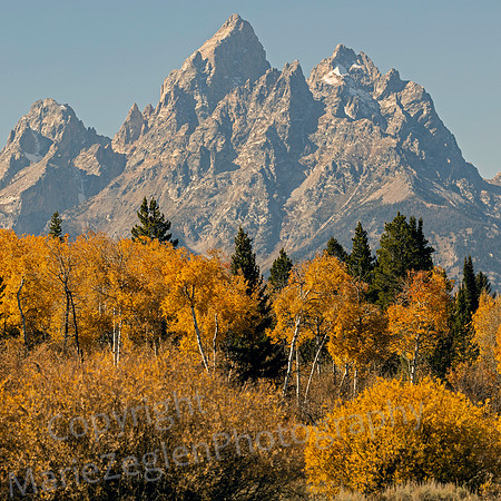 Grand Teton and Aspen