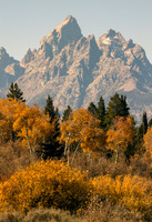 Grand Teton with Clumps of Color