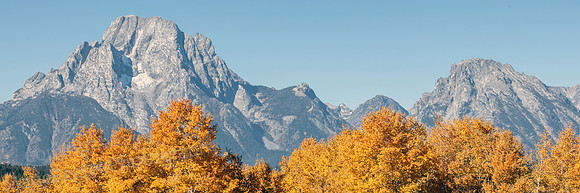 Mount Moran with Aspen