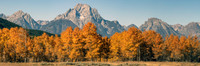 Mountain and Aspen Panorama