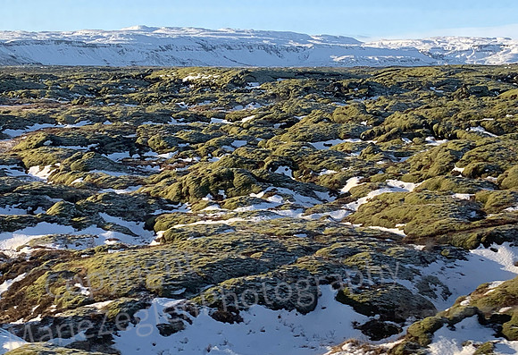 Iceland Rocks and Moss