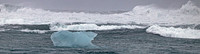 Diamond Beach Polar Bear Berg
