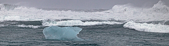 Diamond Beach Polar Bear Berg