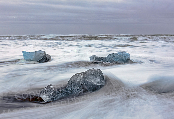 Diamond Beach Swimming Bergs