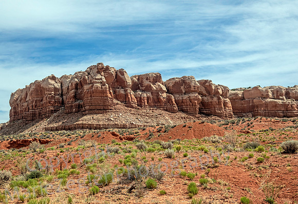 Comb Ridge 0690