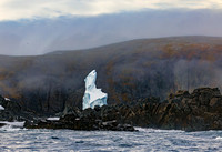 Berg in Fogbank and Lichen 0383