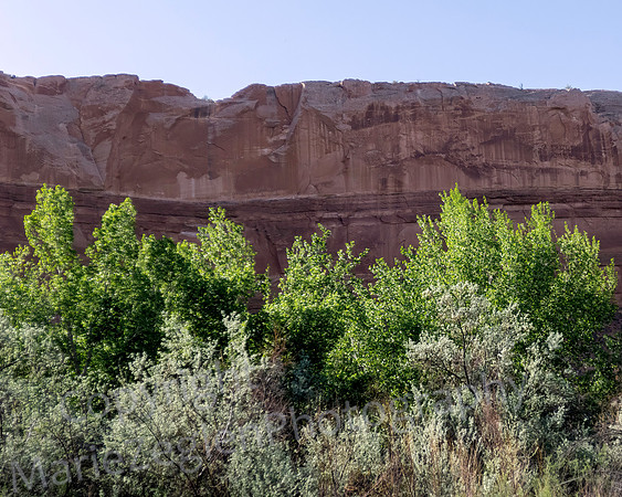 Bluff, Utah 0613