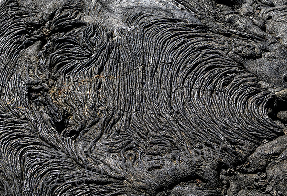 Galapagos Lava Chaos 1957