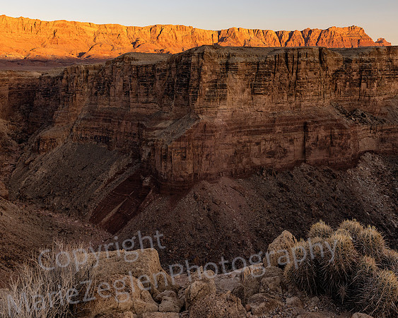 Vermillion Cliffs 1042
