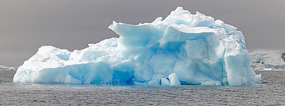 Berg Lindblad Cove 0575