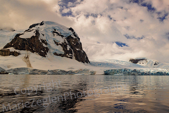 Danco Island Penguin Highway 0123