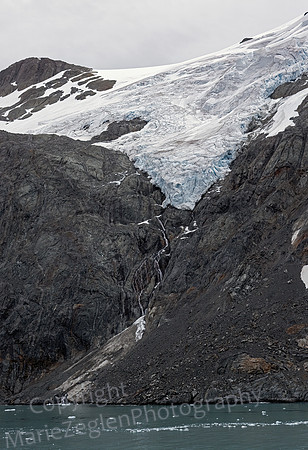 Drygalski Fjord Glacier 7 and Waterfall South Georgia 0584