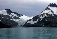 Drygalski Fjord Glacier 2 South Georgia 0529