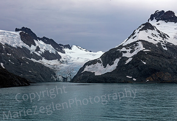 Drygalski Fjord Glacier 2 South Georgia 0529