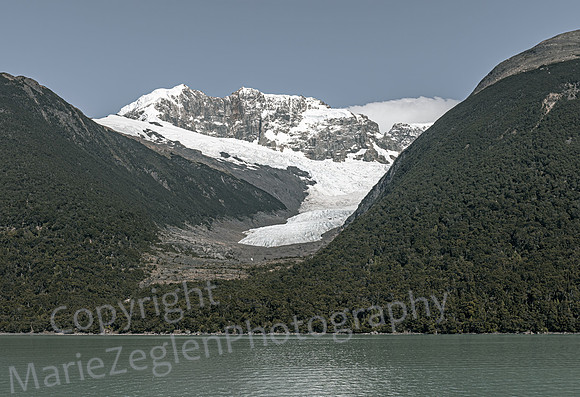 Le Petit Moreno Glacier  0528