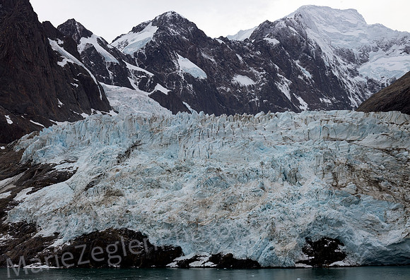 Drygalski Fjord Glacier 3 Closeup South Georgia 0542