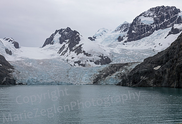 Drygalski Fjord Glacier 5 and 6 Converge  South Georgia 0576