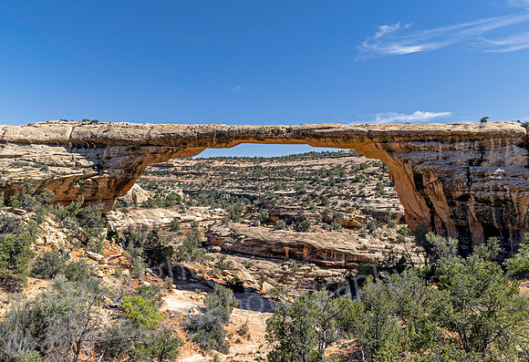 Natural Bridge 1321