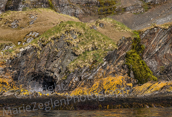 Shoreline Hercules Bay 0889